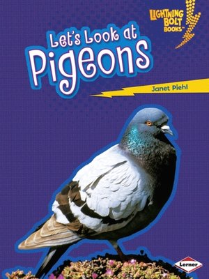 cover image of Let's Look at Pigeons